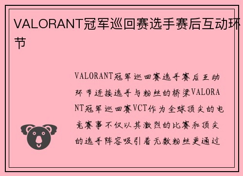 VALORANT冠军巡回赛选手赛后互动环节