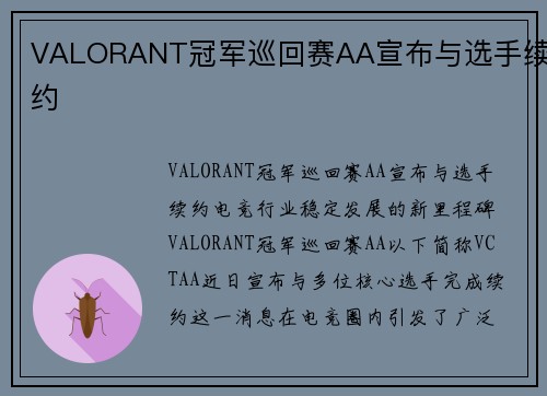 VALORANT冠军巡回赛AA宣布与选手续约